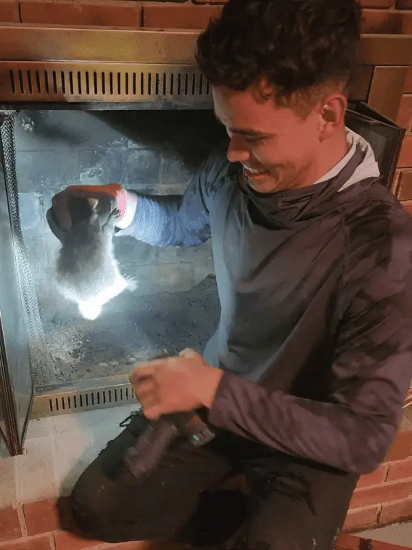 Cleveland Oh Chimney Sweep