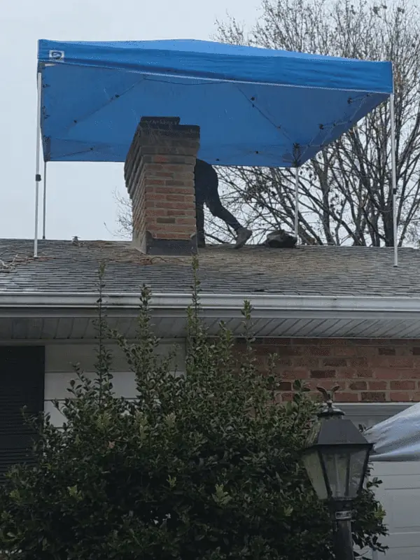 Georgetown De Chimney Service