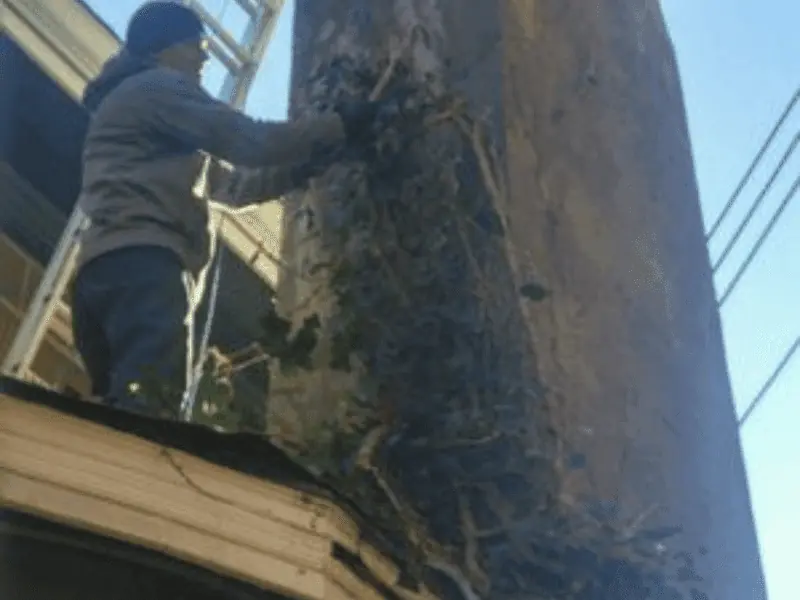 Indianapolis In Chimney Service