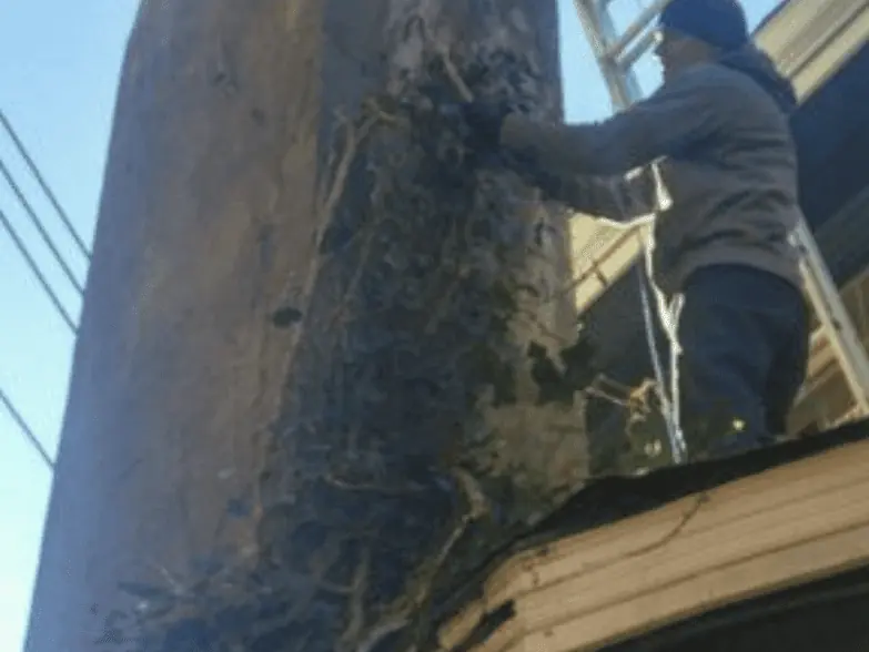 Reading Pa Chimney Service